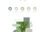design a feminine minimalist logo for your brand
